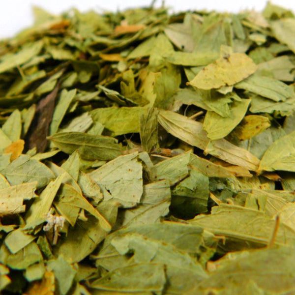 Hoja de Sen Bxn 90100 Kilos Precio Mayoreo y Granel. Central de Abastos. Mayoreo Online