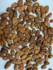 CACAO ENTERO (BULTO 40 KG)