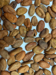 CACAO ENTERO (BULTO 40 KG)