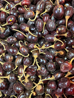 CHILE CATARINA B/10KG