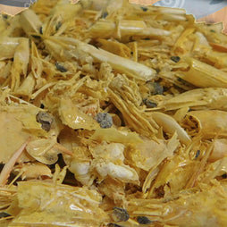 CAMARÓN CABEZA (BULTO 20 KG)