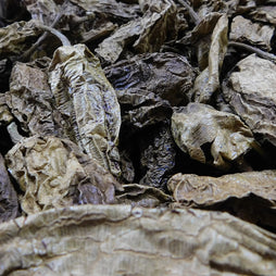 CHILE CHIPOTLE MECO EXTRA (BULTO 20KG)