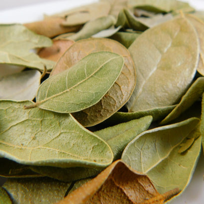 HOJA DE BOLDO (PACA 25 KG)