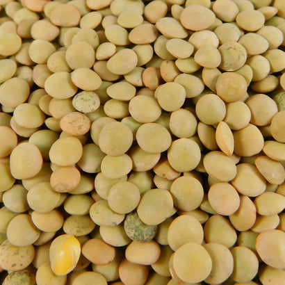 LENTEJA CHICA (BULTO 25 KG)